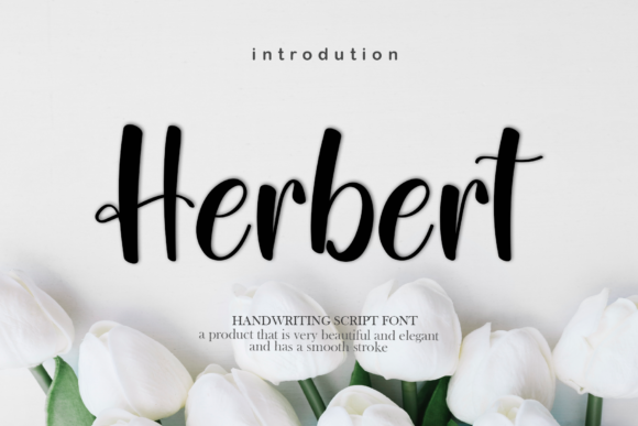 Herbert: The Script Font That Elevates Branding